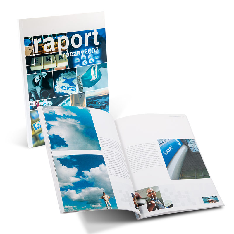 Raport roczny 2003